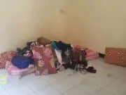 Kemaluan Karyawati Ditusuk Dengan Gagang Pacul Hingga Tewas Kemaluan Karyawati Ditusuk Dengan Gagang Pacul Hingga Tewas