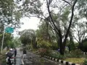 Hujan dan Angin Hantam Kota Tangerang Hujan dan Angin Hantam Kota Tangerang