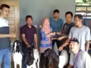 Dinas Ketahanan Pangan dan Pertanian Kota Tangerang Mendistribusikan Kambing PE ke Koperasi Bale Kambang Dinas Ketahanan Pangan dan Pertanian Kota Tangerang Mendistribusikan Kambing PE ke Koperasi Bale Kambang