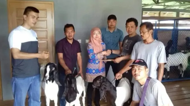 Dinas Ketahanan Pangan dan Pertanian Kota Tangerang Mendistribusikan Kambing PE ke Koperasi Bale Kambang Dinas Ketahanan Pangan dan Pertanian Kota Tangerang Mendistribusikan Kambing PE ke Koperasi Bale Kambang