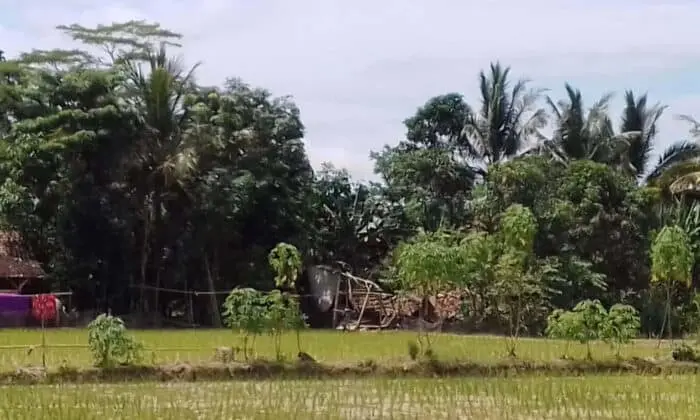 Rumah Keluarga Petani Roboh di Tengah Euforia Perayaan Menyambut Tahun Baru 2017