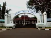 Bupati Pandeglang Ajak Organisasi Wanita Wujudkan Ketahanan Pangan Bupati Pandeglang Ajak Organisasi Wanita Wujudkan Ketahanan Pangan