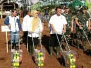Mentan Amran dan Bupati Pandeglang Panen Jagung 120 Hektar Mentan Amran dan Bupati Pandeglang Panen Jagung 120 Hektar