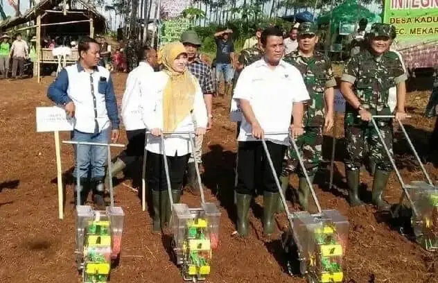 Mentan Amran dan Bupati Pandeglang Panen Jagung 120 Hektar Mentan Amran dan Bupati Pandeglang Panen Jagung 120 Hektar