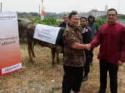 Bangun Ukhuwah di Hari Raya Idul Adha, Sinar Mas Land Sumbang Hewan Kurban ke Masjid Bangun Ukhuwah di Hari Raya Idul Adha, Sinar Mas Land Sumbang Hewan Kurban ke Masjid