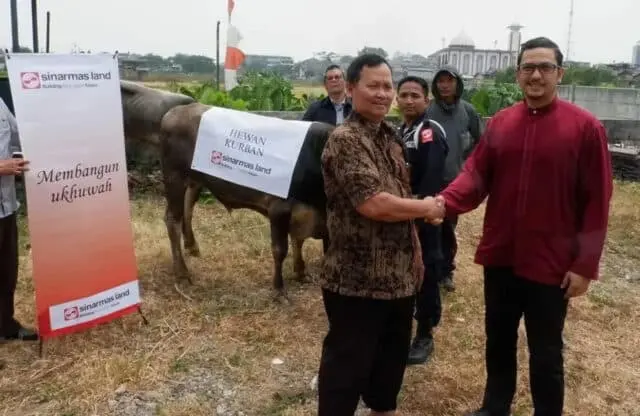 Bangun Ukhuwah di Hari Raya Idul Adha, Sinar Mas Land Sumbang Hewan Kurban ke Masjid Bangun Ukhuwah di Hari Raya Idul Adha, Sinar Mas Land Sumbang Hewan Kurban ke Masjid