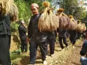 Situs Batu Tumpeng di Hutan Adat Kasepuhan Adat Cibadak Dijaga Secara Turun Temurun Situs Batu Tumpeng di Hutan Adat Kasepuhan Adat Cibadak Dijaga Secara Turun Temurun