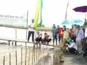 PT Angkasa Pura II tanam 4.000 batang pohon mangrove di Desa Kohod, Pakuhaji, Kabupaten Tangerang PT Angkasa Pura II tanam 4.000 batang pohon mangrove di Desa Kohod, Pakuhaji, Kabupaten Tangerang