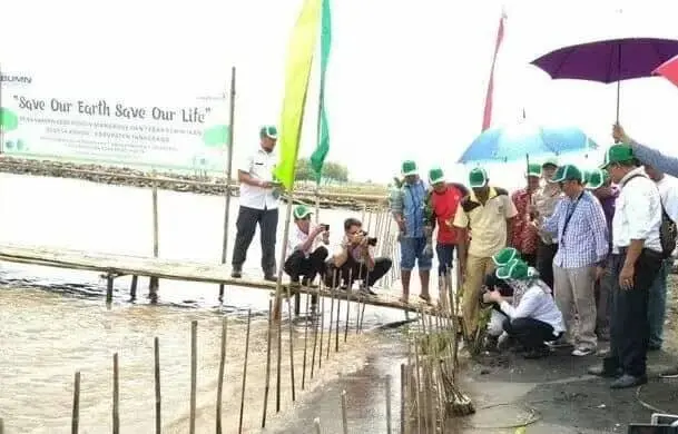 PT Angkasa Pura II tanam 4.000 batang pohon mangrove di Desa Kohod, Pakuhaji, Kabupaten Tangerang PT Angkasa Pura II tanam 4.000 batang pohon mangrove di Desa Kohod, Pakuhaji, Kabupaten Tangerang