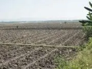 Kekeringan Melanda Banten