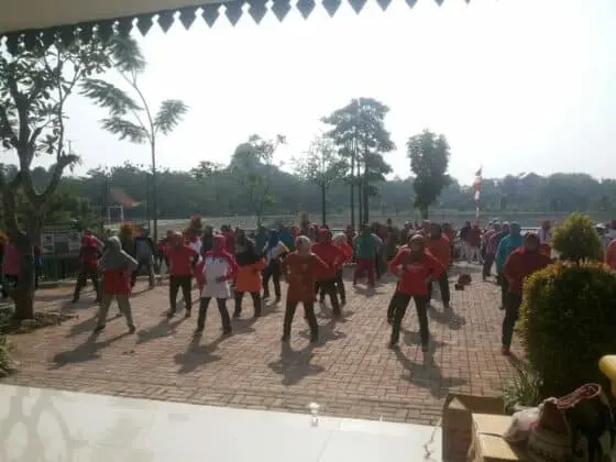 PKK Kota Tangerang Selatan Bina Kelompok Lansia Untuk Hidup Sehat