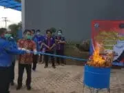 Ganja 3,2 Kilogram Dimusnahkan BNN Banten Ganja 3,2 Kilogram Dimusnahkan BNN Banten