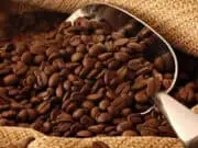 Pemkab Lebak Minta Petani Kembangkan Tanaman Kopi Robusta Pemkab Lebak Minta Petani Kembangkan Tanaman Kopi Robusta