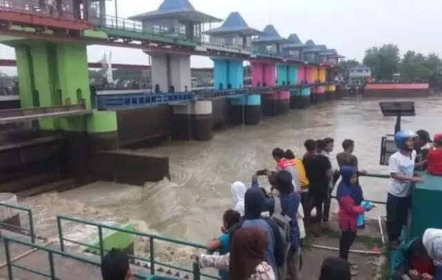 Dua Orang Hanyut Terbawa Arus saat Festival Bedolan Bendungan Pamarayan