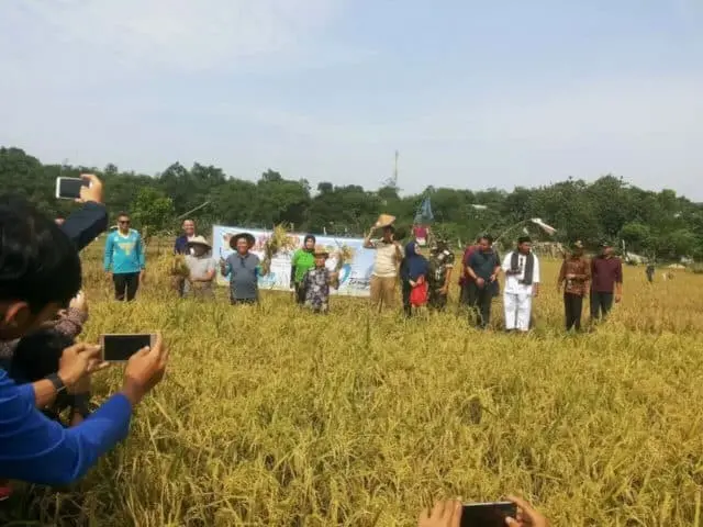 Benyamin Davnie Buka Pesta Panen Lembah Hijau Benyamin Davnie Buka Pesta Panen Lembah Hijau