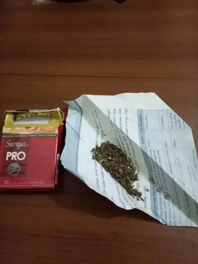 Reskrim Polsek Karawaci Tangkap Dua Pemakai Ganja di Cibodas Kota Tangerang Reskrim Polsek Karawaci Tangkap Dua Pemakai Ganja di Cibodas Kota Tangerang