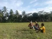 Lahan Sawah Jadi Area Bermain Layang-layang di Musim Panas