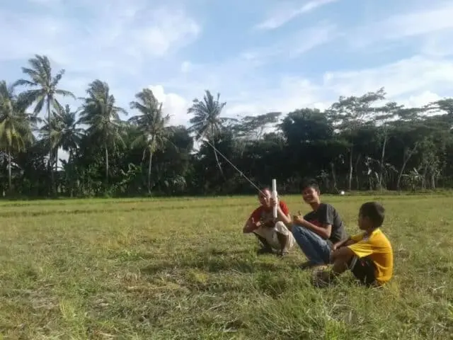 Lahan Sawah Jadi Area Bermain Layang-layang di Musim Panas Lahan Sawah Jadi Area Bermain Layang-layang di Musim Panas