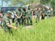 Dukung Swasembada Beras, Pemkab Lebak Libatkan TNI Cetak Sawah Baru Dukung Swasembada Beras, Pemkab Lebak Libatkan TNI Cetak Sawah Baru