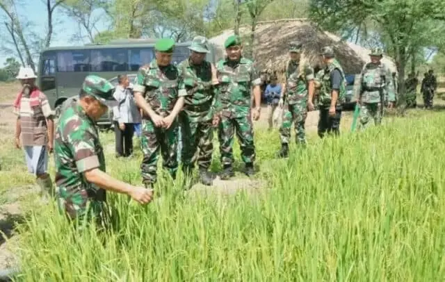 Dukung Swasembada Beras, Pemkab Lebak Libatkan TNI Cetak Sawah Baru Dukung Swasembada Beras, Pemkab Lebak Libatkan TNI Cetak Sawah Baru
