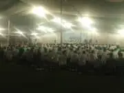 Kapolsek Karawaci Meriahkan Peringatan Maulid Nabi Muhammad SAW Kapolsek Karawaci Meriahkan Peringatan Maulid Nabi Muhammad SAW
