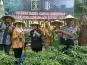 Narapidana Rutan Rangkasbitung Panen Cabai Keriting Narapidana Rutan Rangkasbitung Panen Cabai Keriting