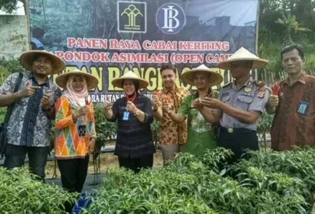 Narapidana Rutan Rangkasbitung Panen Cabai Keriting