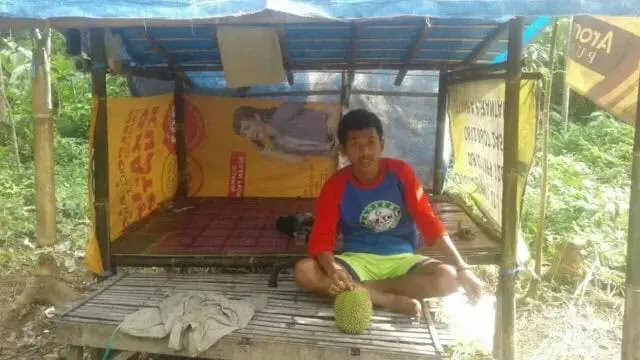 Menunggu Durian Jatuh Ala Dodi Supriadi Menunggu Durian Jatuh Ala Dodi Supriadi