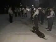 Bawa Anjing Pelacak, Polsek Neglasari Sisir Apartemen Razia Narkoba Bawa Anjing Pelacak, Polsek Neglasari Sisir Apartemen Razia Narkoba