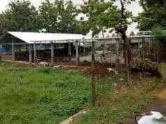 Soal Bangunan tanpa IMB di Neglasari, Satpol PP Akan Rapat dengan OPD Terkait Soal Bangunan tanpa IMB di Neglasari, Satpol PP Akan Rapat dengan OPD Terkait