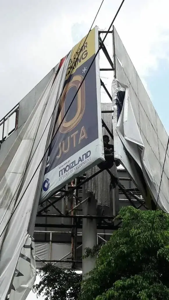 Papan Reklame Liar Ditumbangkan Beruang Hitam Gakumda Papan Reklame Liar Ditumbangkan Beruang Hitam Gakumda