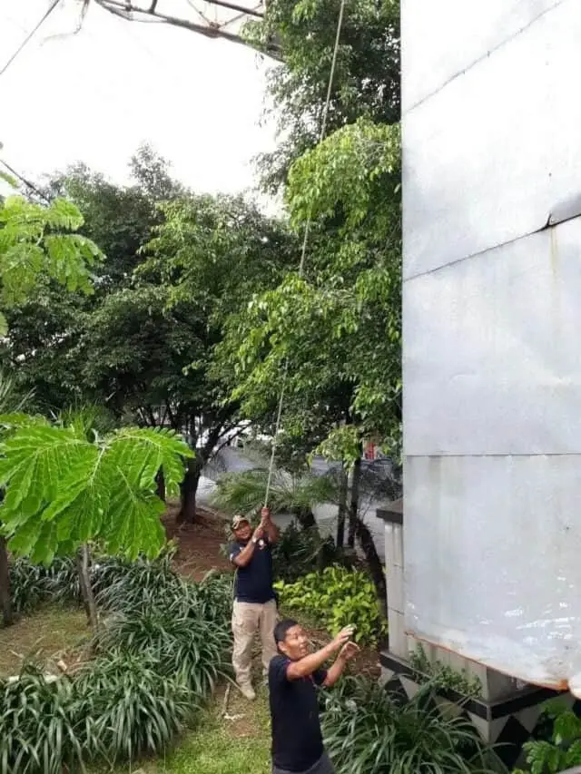 Beruang Hitam Tetap Semangat Eksekusi Billboard Liar Beruang Hitam Tetap Semangat Eksekusi Billboard Liar