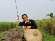100 Hektar Tanaman Padi di Sepatan Timur Diserang Hama 100 Hektar Tanaman Padi di Sepatan Timur Diserang Hama