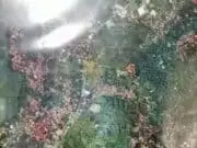 Warga Diminta Kosongkan Lahan Asset Satrudal Teluknaga Warga Diminta Kosongkan Lahan Asset Satrudal Teluknaga