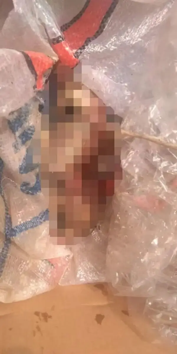 Miris, Bayi Dibuang Di Pintu Air Poris Jaya Batu Ceper Miris, Bayi Dibuang Di Pintu Air Poris Jaya Batu Ceper