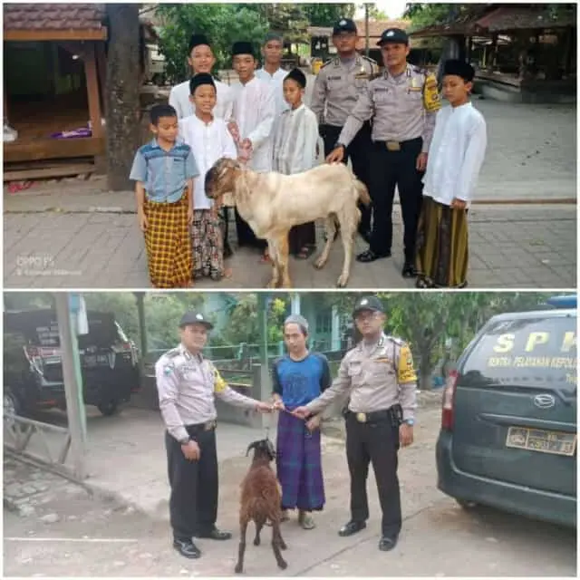Jelang Hari Raya Hari Idul Adha 1439 H, Polsek Karawaci Serahkan 2 Ekor Hewan Kurban ke Pondok Pesantren Jelang Hari Raya Hari Idul Adha 1439 H, Polsek Karawaci Serahkan 2 Ekor Hewan Kurban ke Pondok Pesantren
