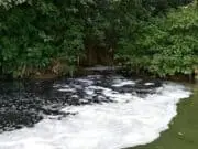 YAPELH Geram, Limbah Diduga Milik PT. Argo Pantes Kembali Cemari Sungai Cisadane YAPELH Geram, Limbah Diduga Milik PT. Argo Pantes Kembali Cemari Sungai Cisadane