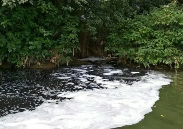 YAPELH Geram, Limbah Diduga Milik PT. Argo Pantes Kembali Cemari Sungai Cisadane YAPELH Geram, Limbah Diduga Milik PT. Argo Pantes Kembali Cemari Sungai Cisadane