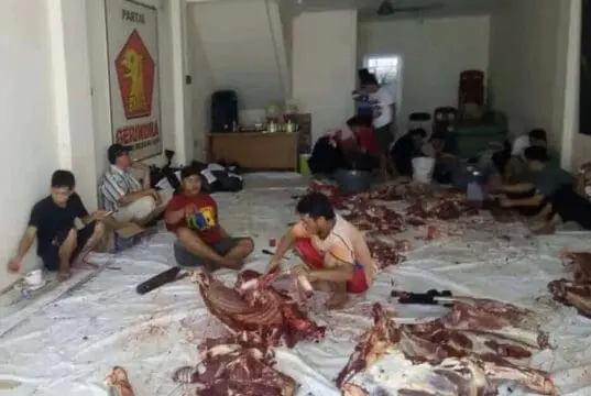Partai Gerindra Kota Tangerang Bagikan 1000 Paket Daging Kurban Idul adha 1439H Partai Gerindra Kota Tangerang Bagikan 1000 Paket Daging Kurban Idul adha 1439H