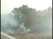 Kemarau Panjang : Kebakaran Lahan Terjadi Di Kawasan Kavling DPR Cipondoh