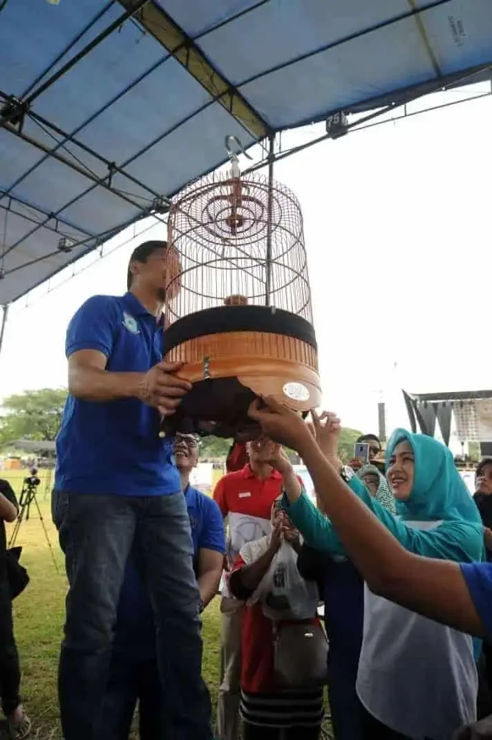 HUT ke-10 Tangsel : Airin Buka Lomba Burung Berkicau HUT ke-10 Tangsel : Airin Buka Lomba Burung Berkicau