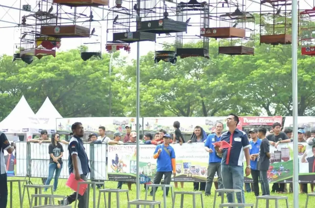 HUT ke-10 Tangsel : Airin Buka Lomba Burung Berkicau HUT ke-10 Tangsel : Airin Buka Lomba Burung Berkicau