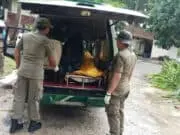 35 Personil Satpol PP Kota Tangerang Terus lakukan Pencarian Korban di Tanjung Lesung