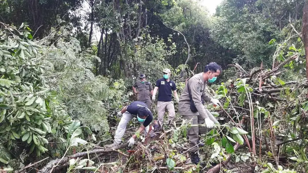 35 Personil Satpol PP Kota Tangerang Terus lakukan Pencarian Korban di Tanjung Lesung