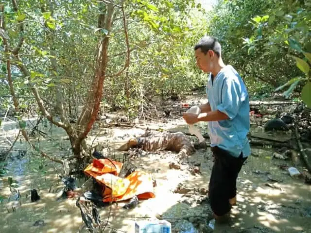 Mayat Perempuan Tanpa Identitas Ditemukan di Hutan Mangrove Mayat Perempuan Tanpa Identitas Ditemukan di Hutan Mangrove