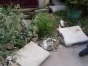Pengerjaan Drainase Diduga Asal-asalan Disoal Warga Pengerjaan Drainase Diduga Asal-asalan Disoal Warga