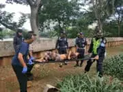 Wanita Tanpa Identitas Ditemukan Tewas Disamping Mall Metropolis Wanita Tanpa Identitas Ditemukan Tewas Disamping Mall Metropolis