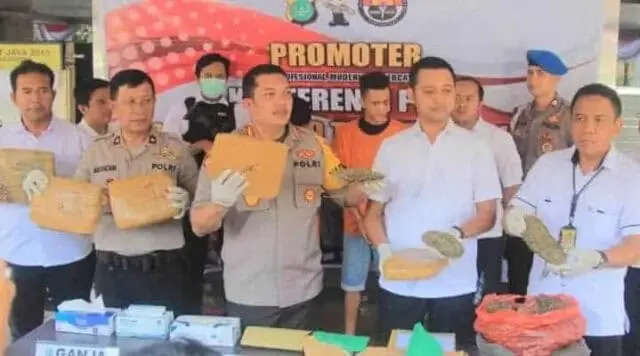 Seminggu Diintai, Polisi Gagalkan Peredaran Ganja 8 kilo Seminggu Diintai, Polisi Gagalkan Peredaran Ganja 8 kilo