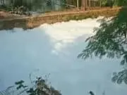 Dikeluh Warga, Limbah Bak Gumpalan Salju Cemari Kali Paninggilan Limbah Bak Gumpalan Salju Cemari Kali Paninggilan