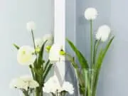 WW Design Primadona Penghias Ruangan WW Design Primadona Penghias Ruangan